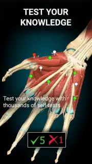 3D Anatomy Learning скриншот 3