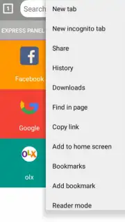 BrowserR скриншот 4