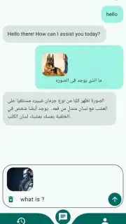 Chat Mate скриншот 7