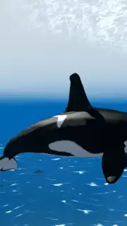 Orca Simulator скриншот 1