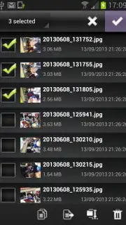 File Selector/Explorer скриншот 4