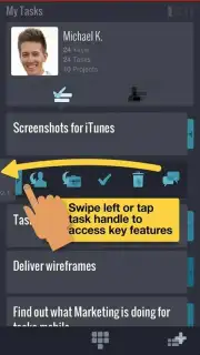 Mindjet Tasks скриншот 4