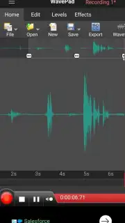 WavePad скриншот 6