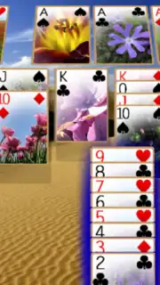Solitaire 3D скриншот 5