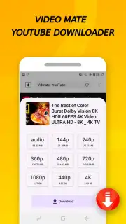 Vidora YouTube Downloader | free & fast скриншот 2