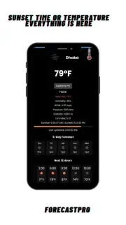 ForecastPro скриншот 2