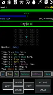 Random Adventure Roguelike скриншот 5