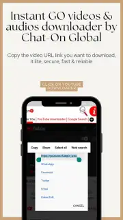 Instant GO videos & audios downloader скриншот 3
