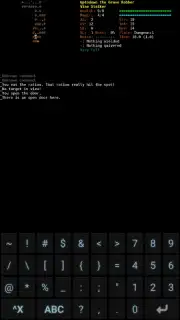 Dungeon Crawl: Stone Soup скриншот 6