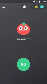 VPN Tomato скриншот 9