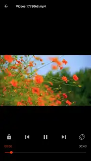Video Player скриншот 4