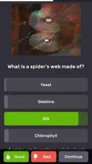 QuizzLand скриншот 2