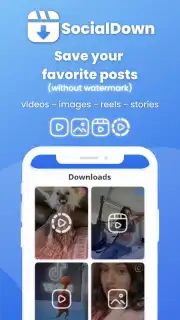 SocialDown: no watermark скриншот 3