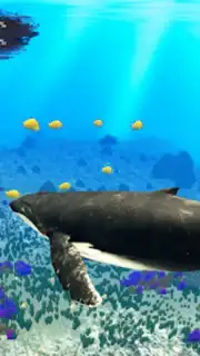 The Humpback Whales скриншот 24