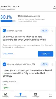 Google Ads скриншот 3