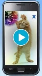 Talking, Dancing Cat. скриншот 1