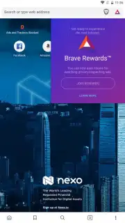 Brave Nightly (devs & testers) скриншот 5