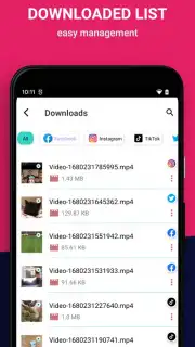Video Downloader скриншот 2