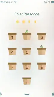 PIP Lock Screen скриншот 4
