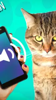 Кошачий Переводчик скриншот 1