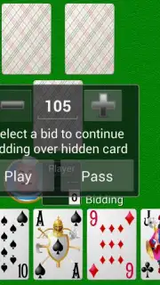 Collection of card games скриншот 5