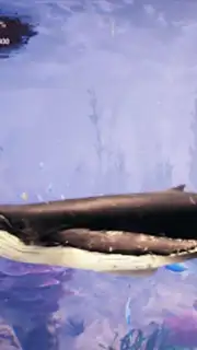 The Humpback Whales скриншот 13
