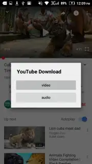 YouTube Download скриншот 2