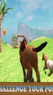 Pony Horse Simulator Kids 3D скриншот 9