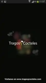 Tragos y Cocteles скриншот 8