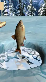 Winter Fishing 3D скриншот 6