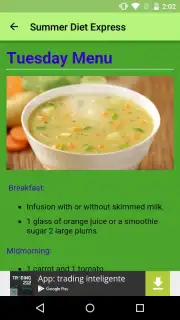 Summer Diet Express скриншот 7
