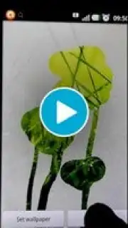 STEAMY живые обои скриншот 1