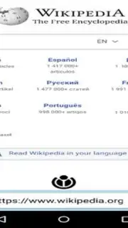 4K Browser скриншот 3