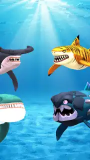 My Shark Show скриншот 13