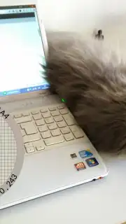 Pixolor скриншот 1