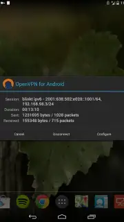 OpenVPN скриншот 10