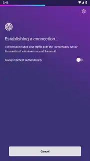 Tor Browser скриншот 24