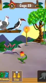 Birdland Paradise скриншот 8