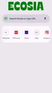 Chrome Beta скриншот 24