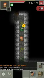 Yet Another Pixel Dungeon скриншот 4