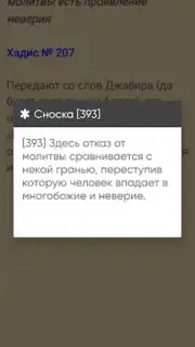 САХИХ МУСЛИМ скриншот 2