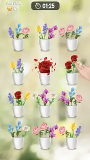 Zen Blossom скриншот 8