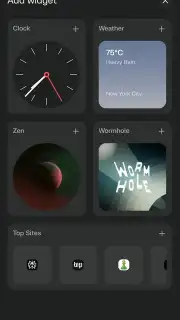 Comet Browser скриншот 3