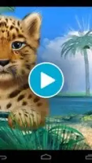Дикие животные скриншот 1