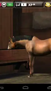 My Horse скриншот 4