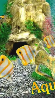 AquaLife 3D скриншот 8