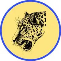 Browser Leopard