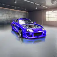 Garage Mania