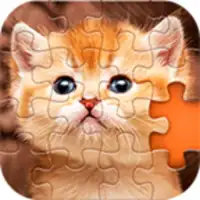 Puzzles without Internet