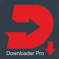 Downloader Pro
